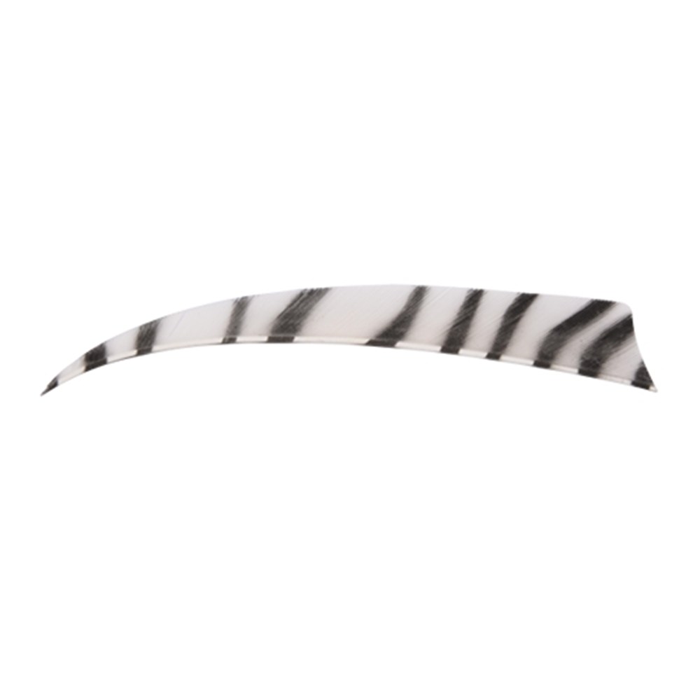 Bearpaw Feather Shield Zebra RW 4 Inch Natuurveer