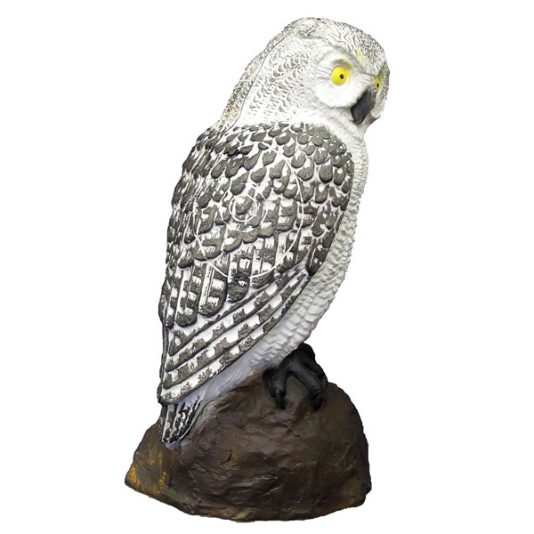 SRT Targets Screech Owl White