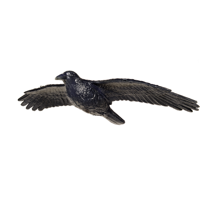 Franzbogen 3D Target Flying Raven