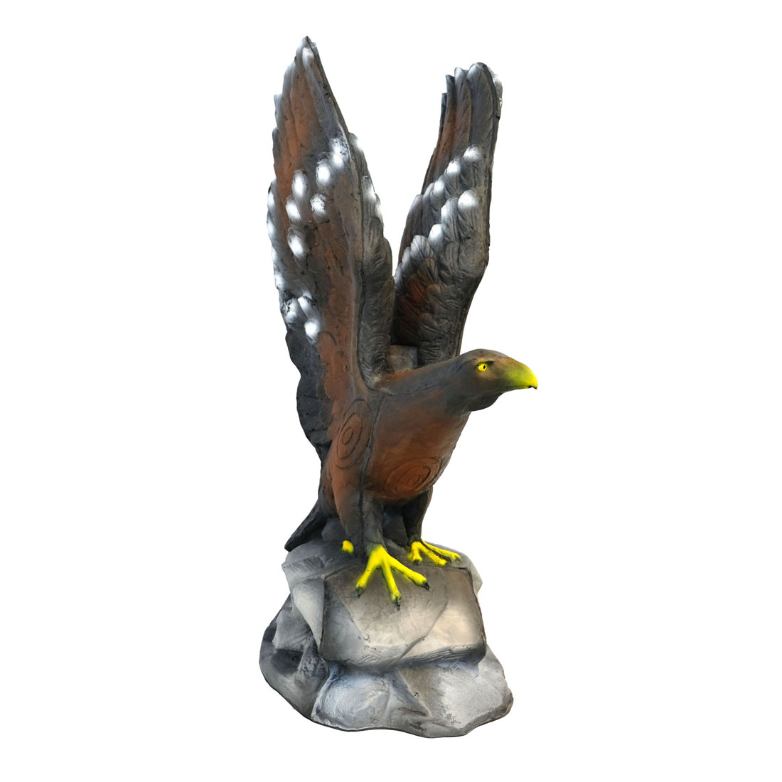 Dier, Snavel, Vogel, Vliegende vogel, Havik