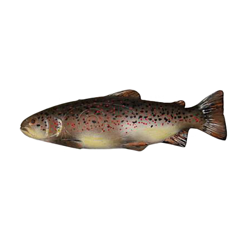 Natur Foam 3D Target Trout