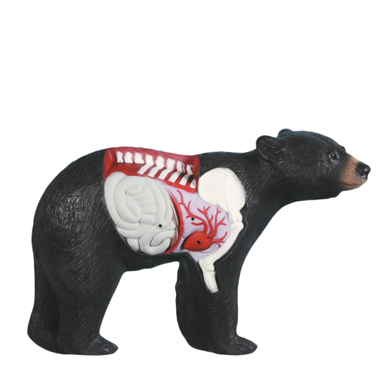 Rinehart 3D Target Anatomy Bear