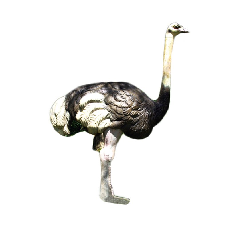 Natur Foam 3D Target Ostrich