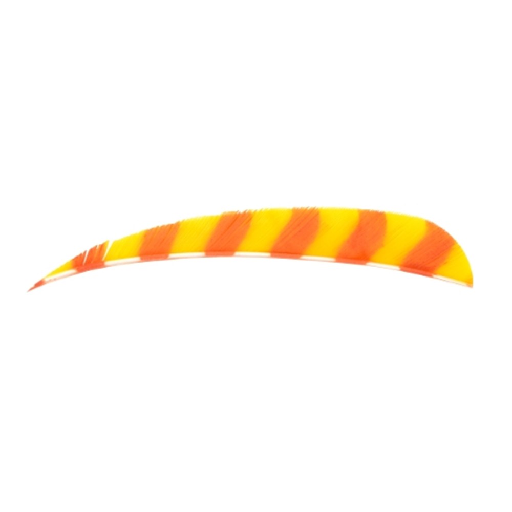 Bearpaw Feather Parabolic Barred RW 4 Inch Natuurveer