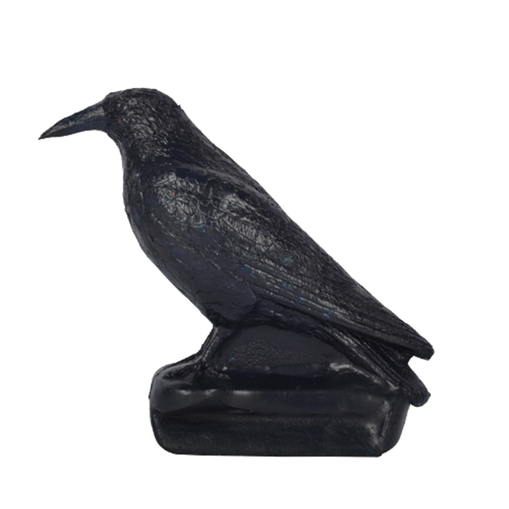 Franzbogen 3D Target Raven
