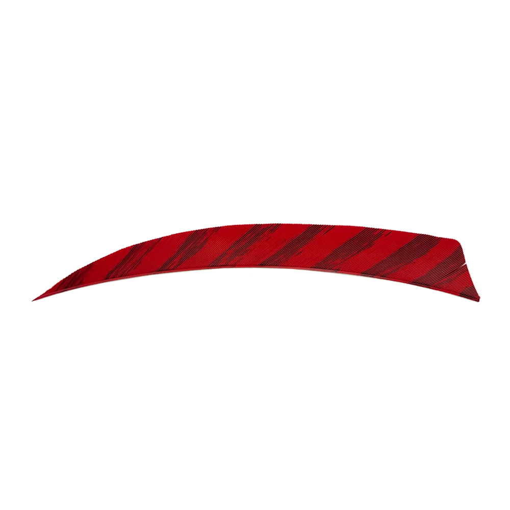 Kleur: Barred Red Kleur: Barred Red
