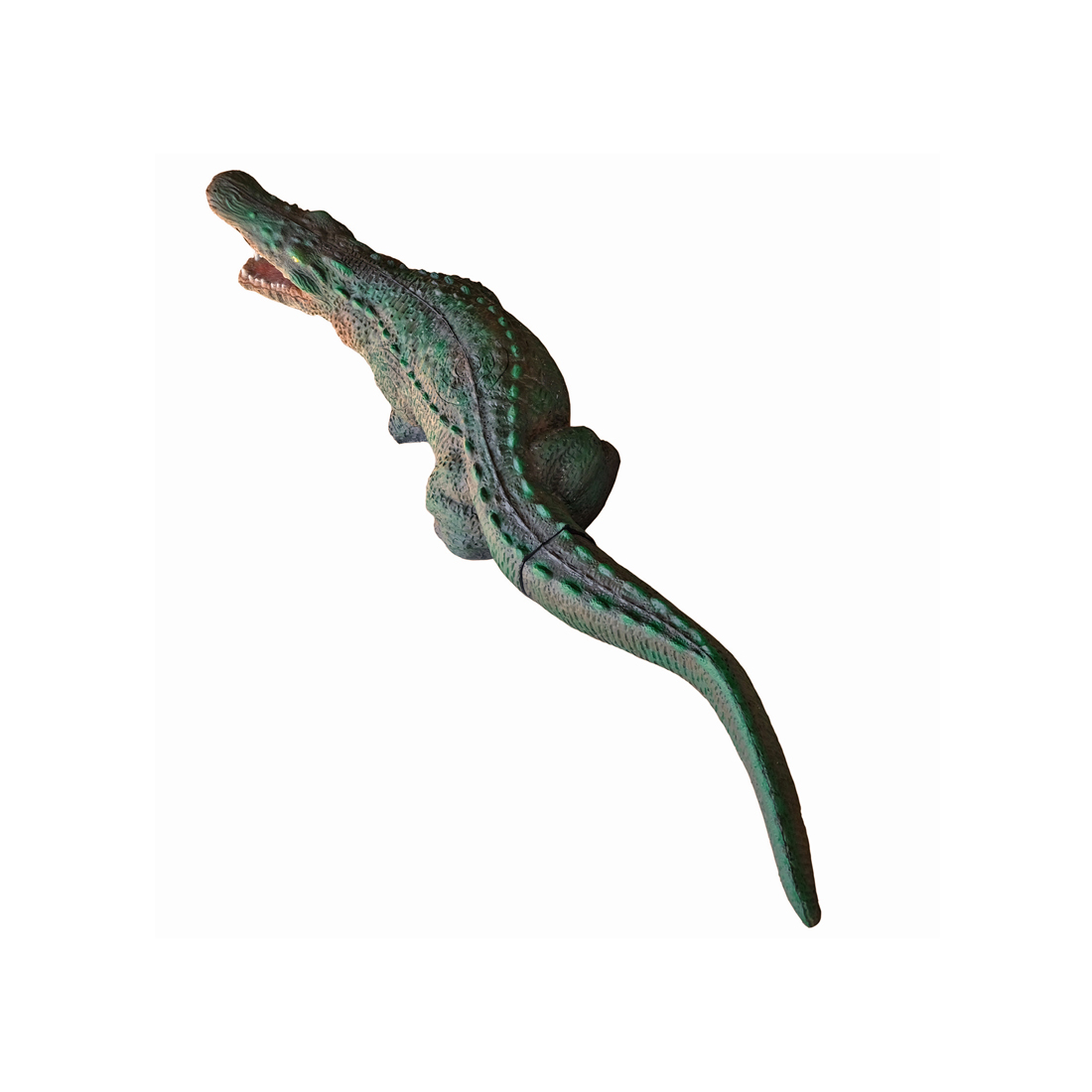 Dier, Hagedis, Reptiel