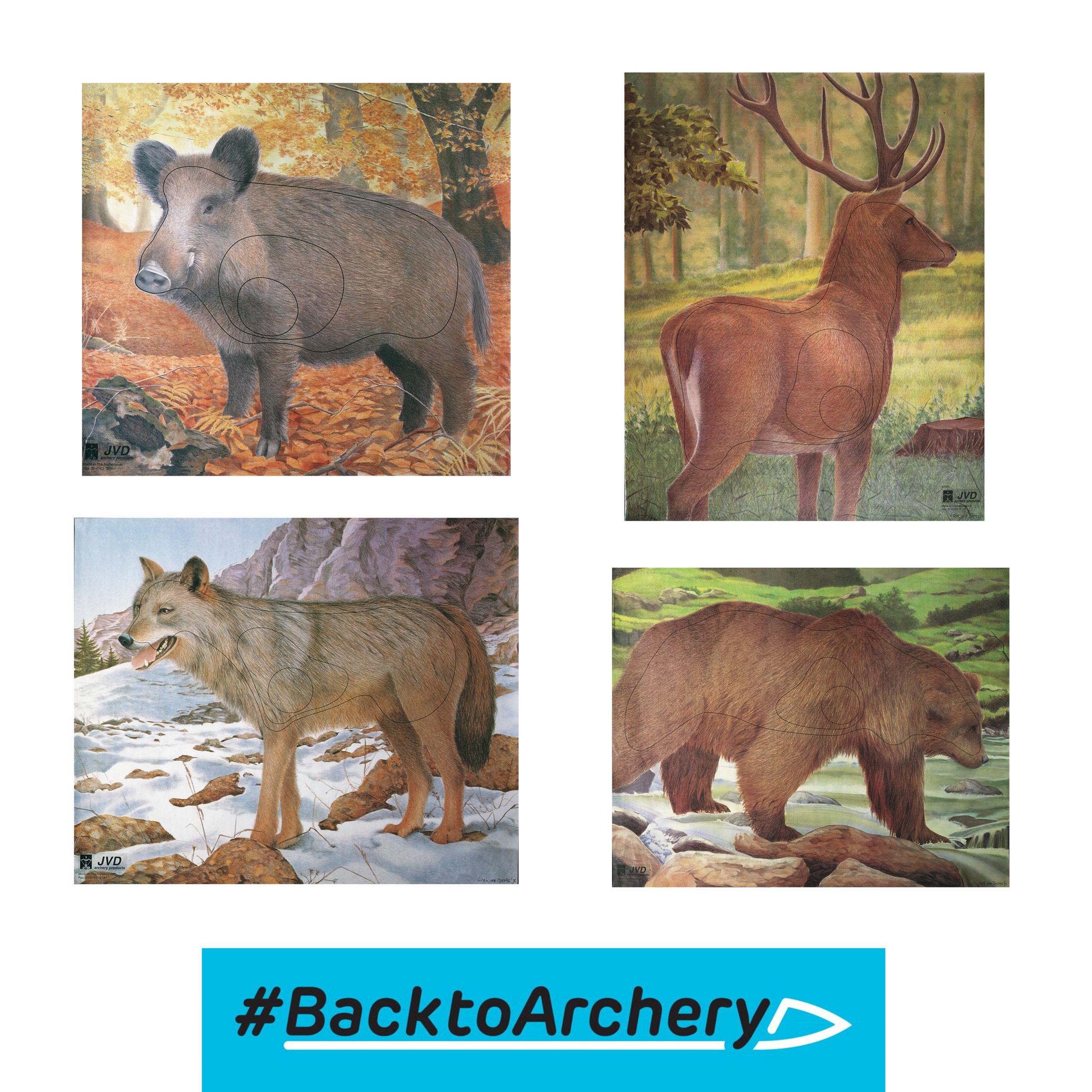 Backtoarchery 2D Animal Target Outdoor faces