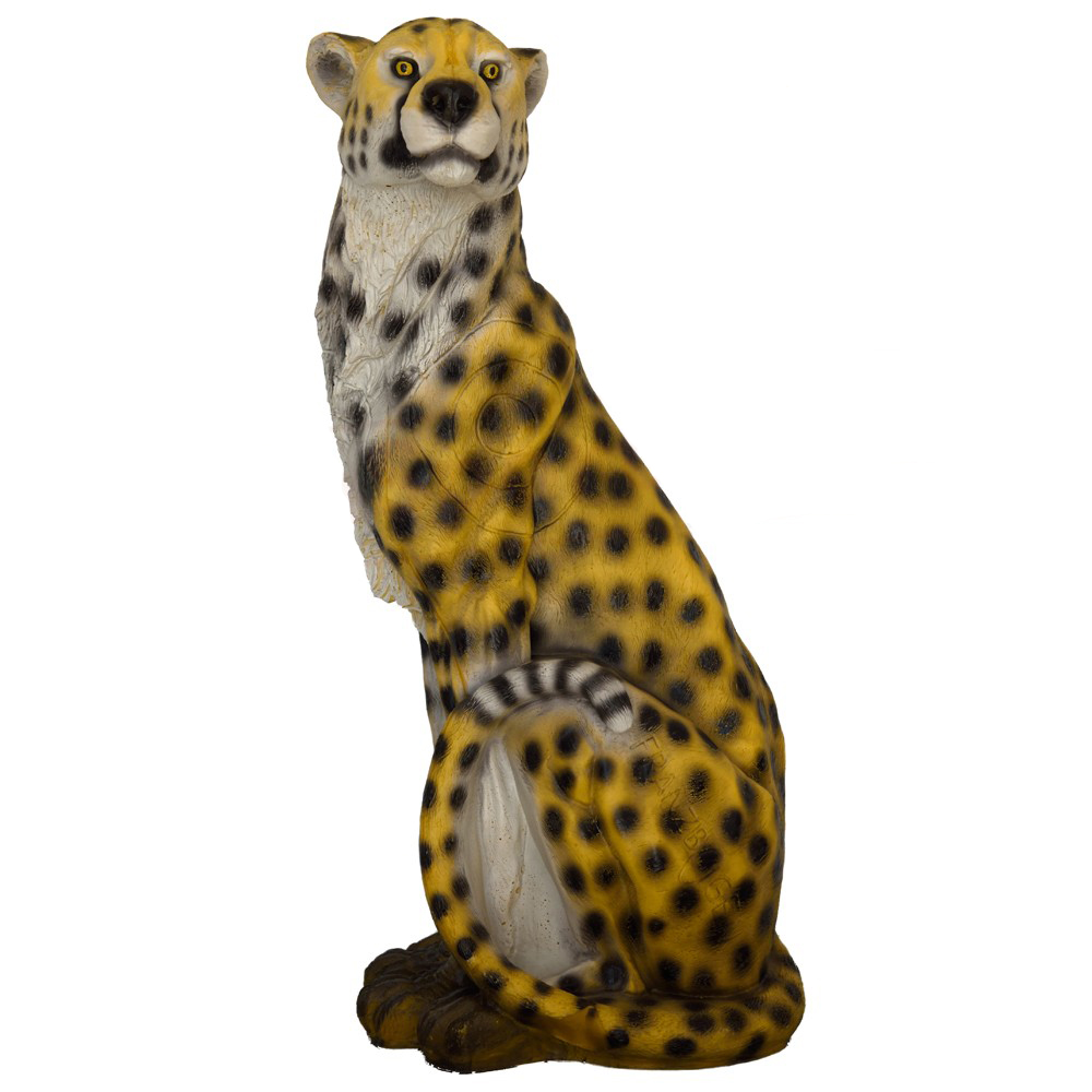 Franzbogen 3D Target Cheetah