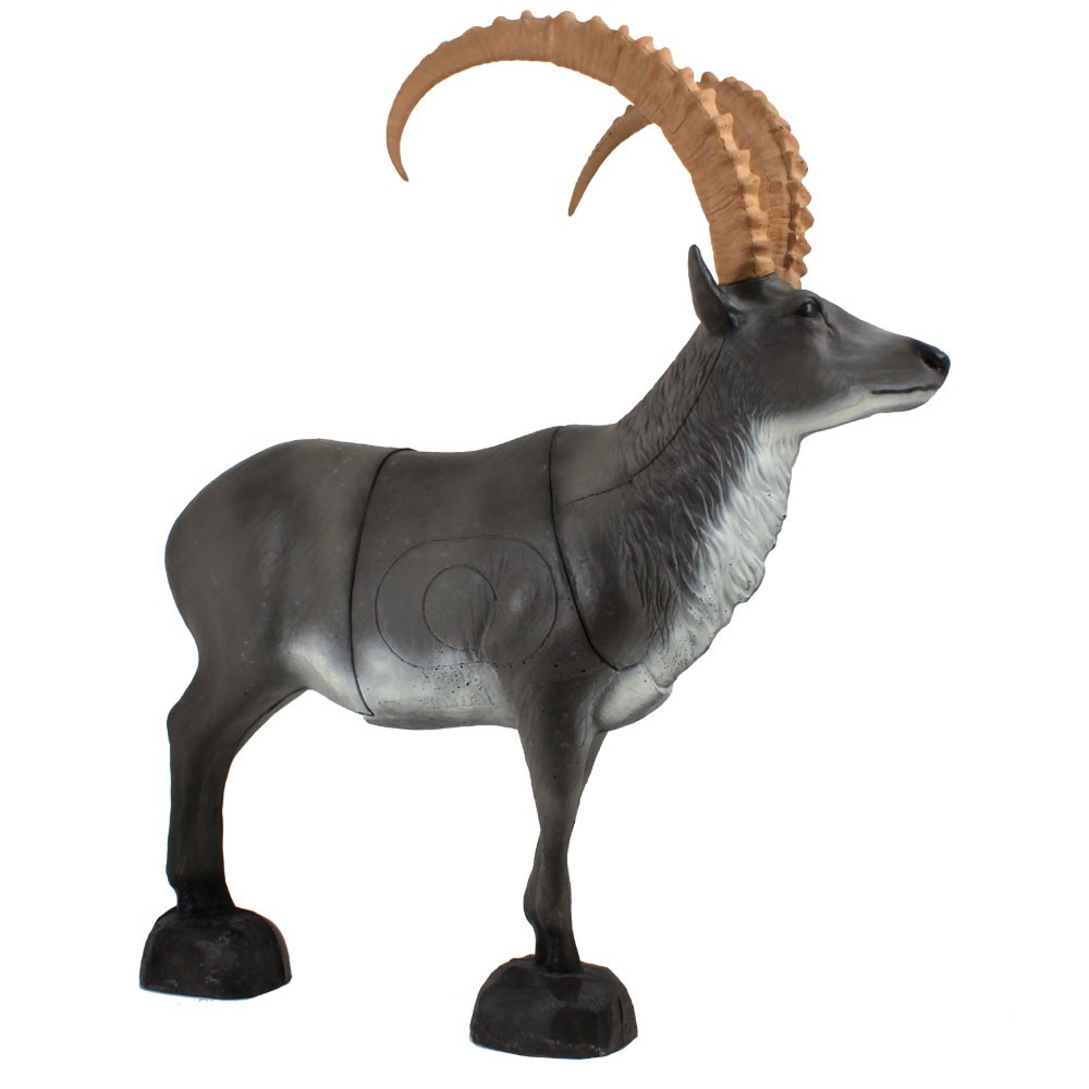 Franzbogen 3D Target Ibex