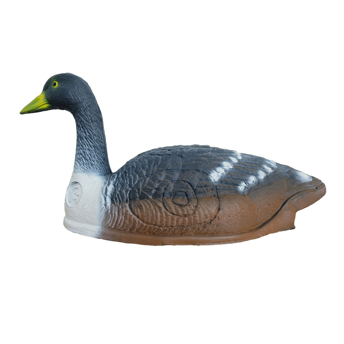 Dier, Anseriformes, Vogel, Watervogels