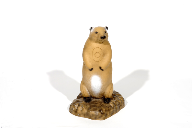 Franzbogen 3D Target Marmot