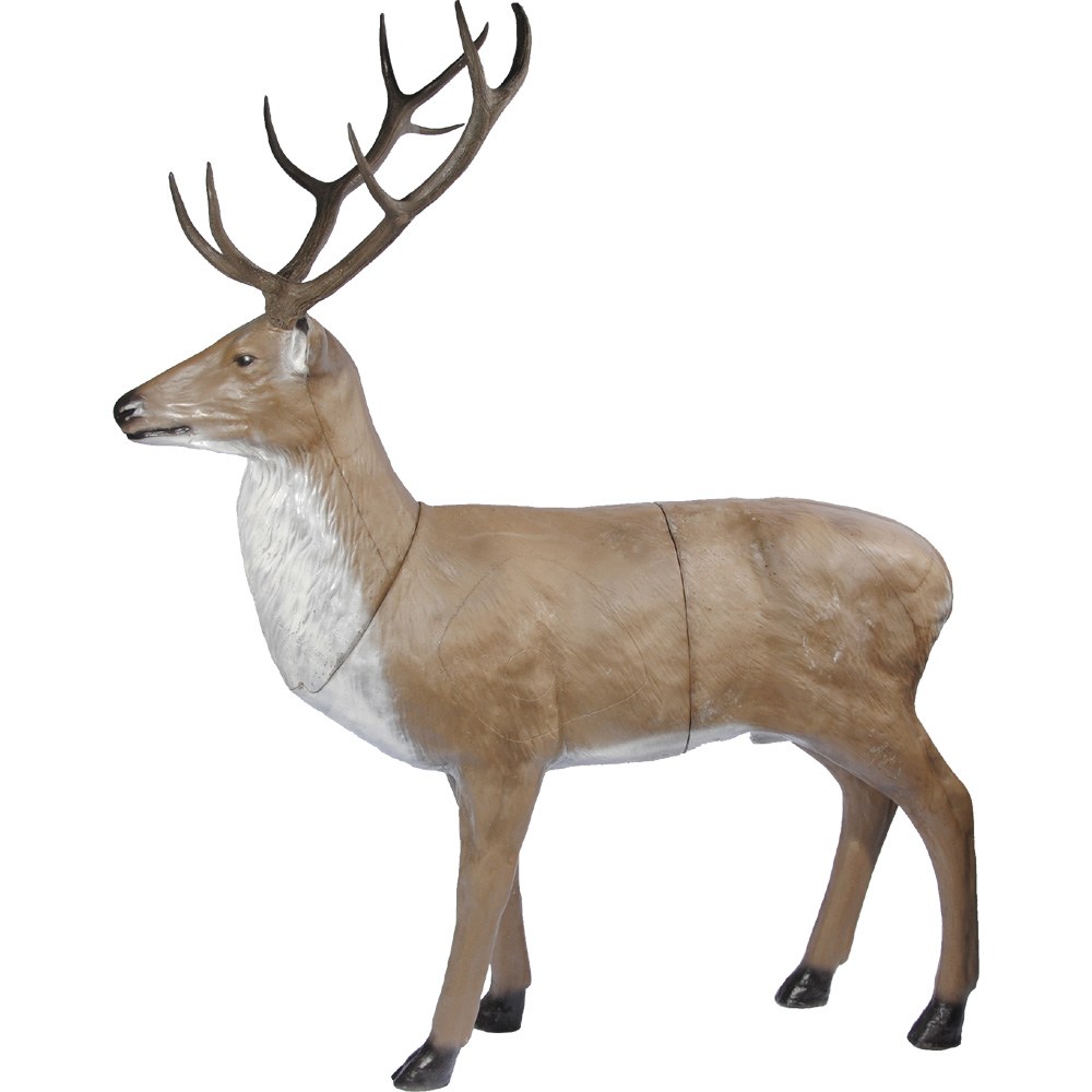 Franzbogen 3D Target Red Deer