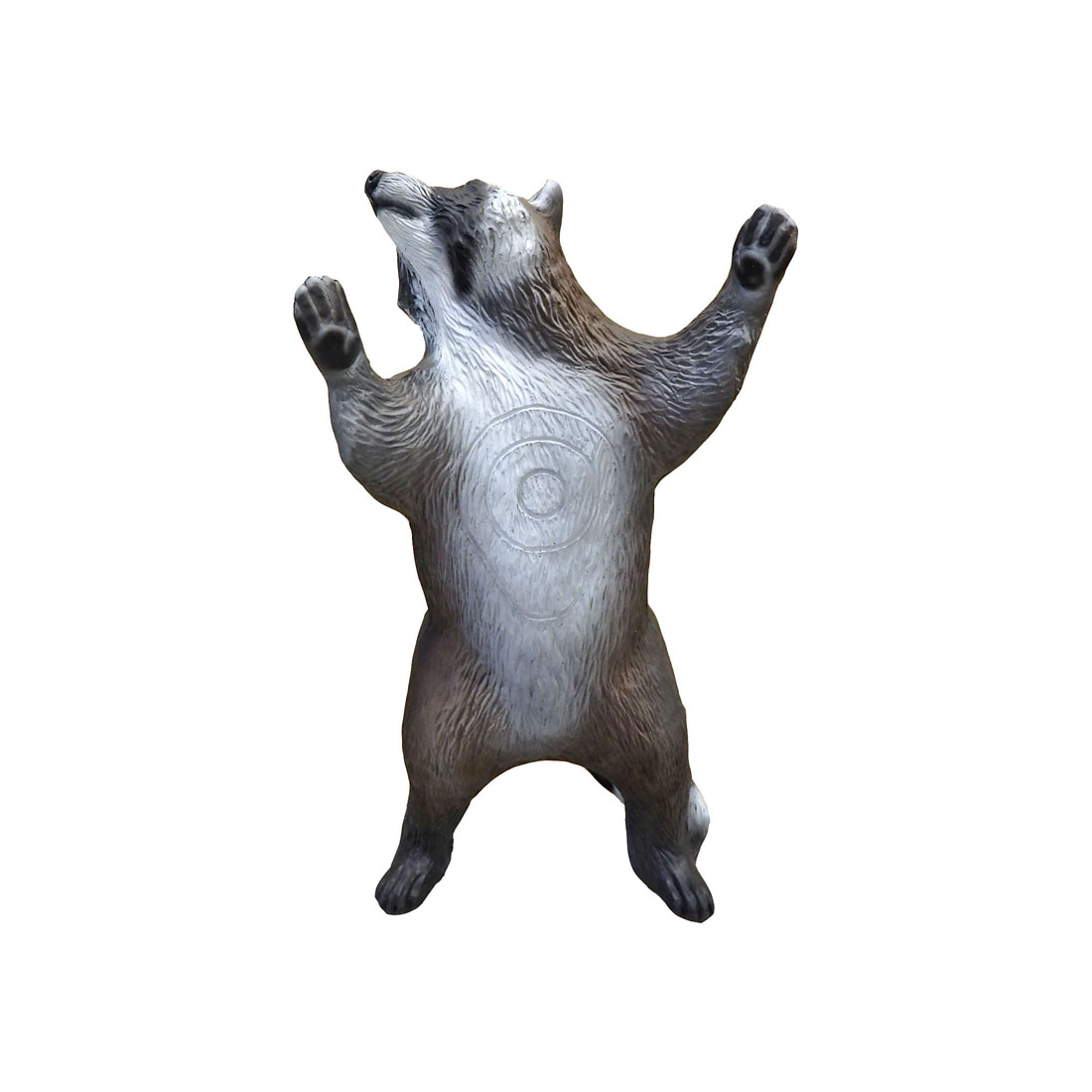 Dier, Beer, Zoogdier, Wilde dieren