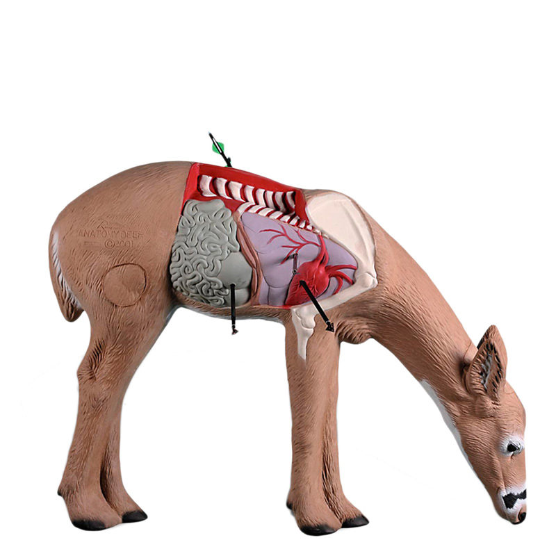 Rinehart 3D Target Anatomy Deer