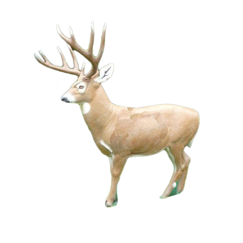 Natur Foam 3D Target White Tail