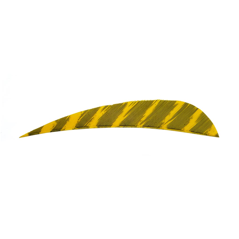 Kleur: Barred Yellow Kleur: Barred Yellow