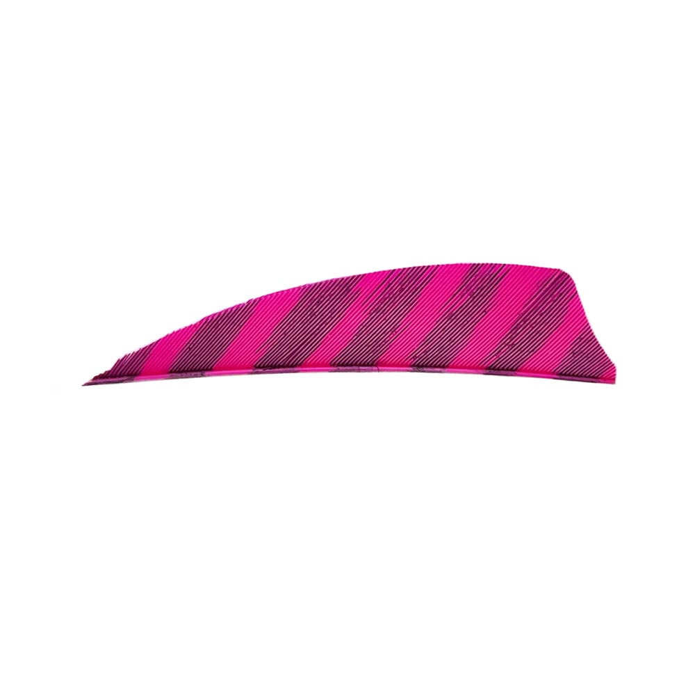 Kleur: Barred Pink Kleur: Barred Pink